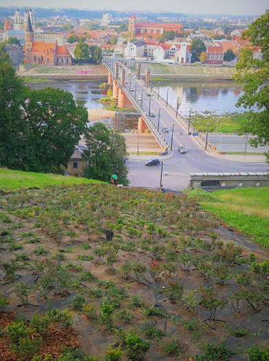 Įgyvendinto projekto nuotrauka